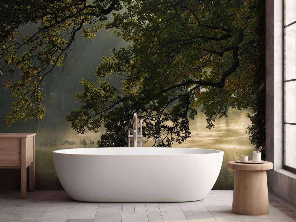 Rami a strapiombo sull'acqua