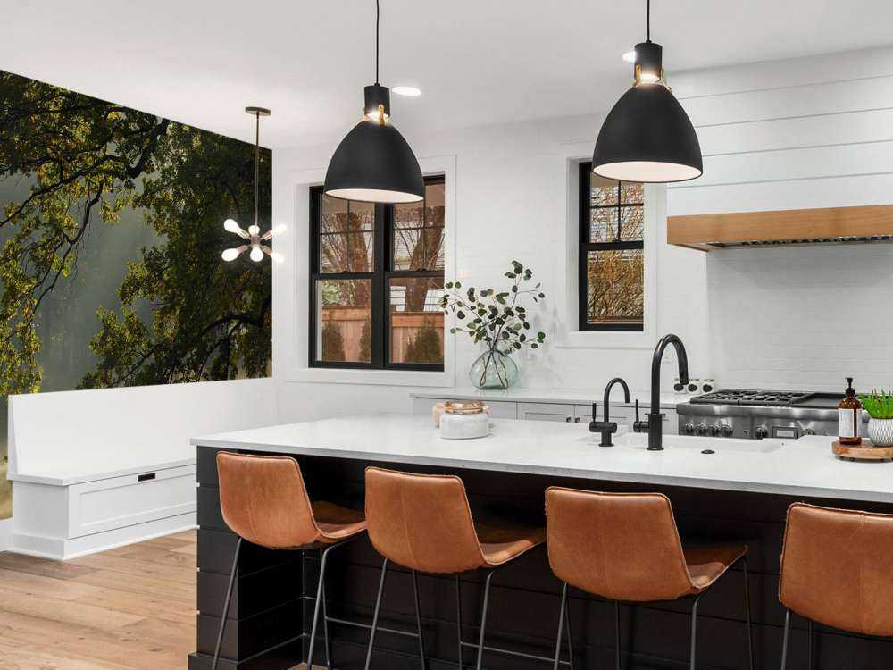 Rami a strapiombo sull'acqua