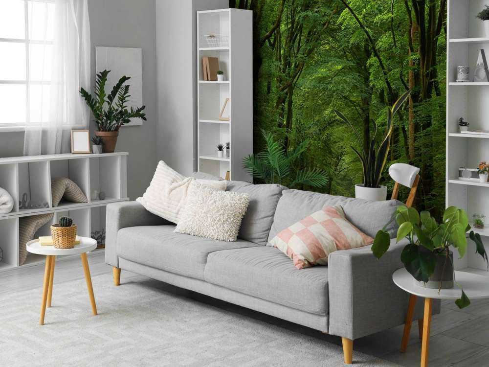 Strada nella foresta