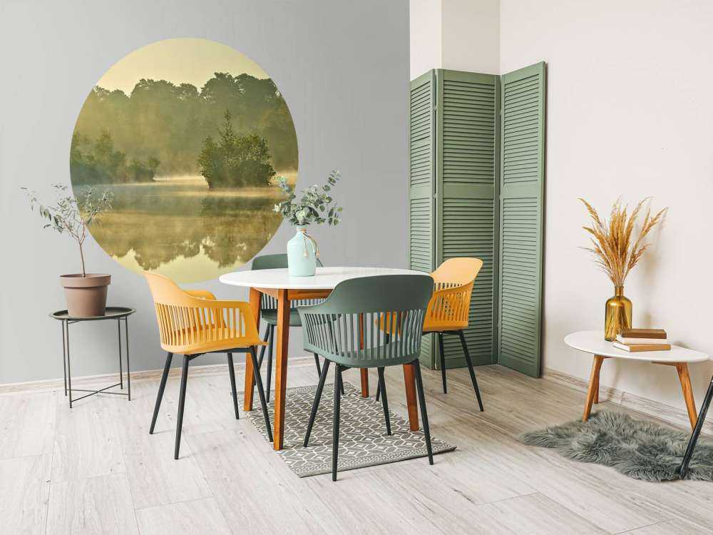 Nebulosa sopra un lago forestale