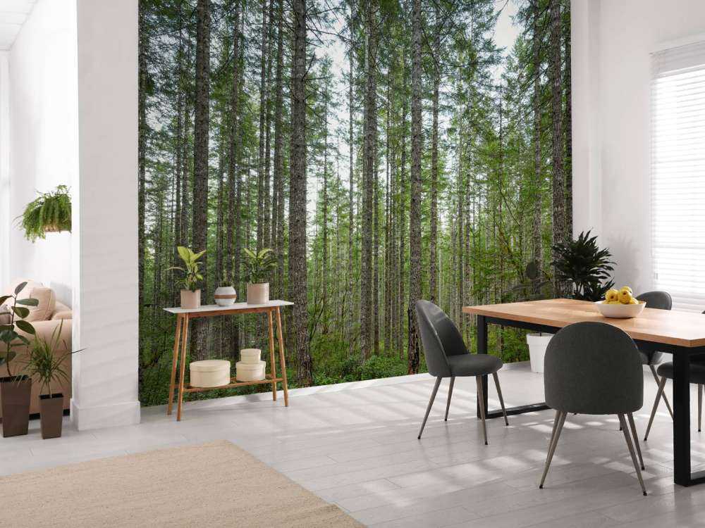 Alti alberi dritti