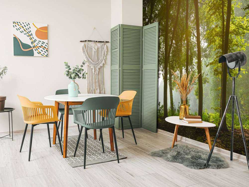 Foresta al sole del mattino