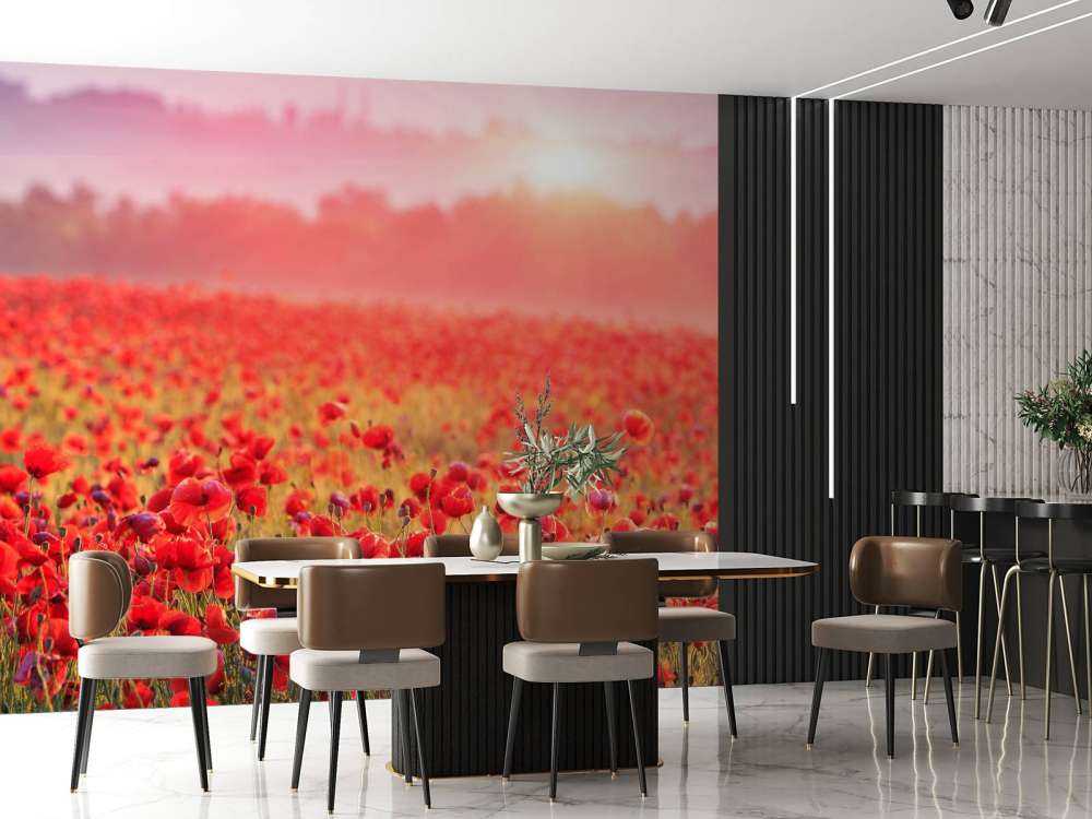 Campo pieno di papaveri