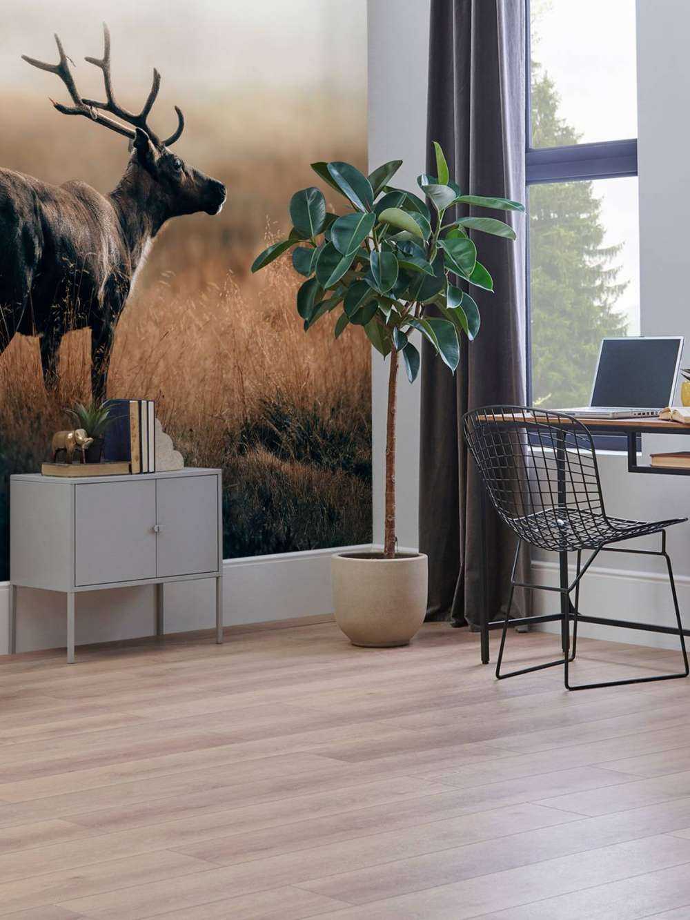 Renne nell'erba alta