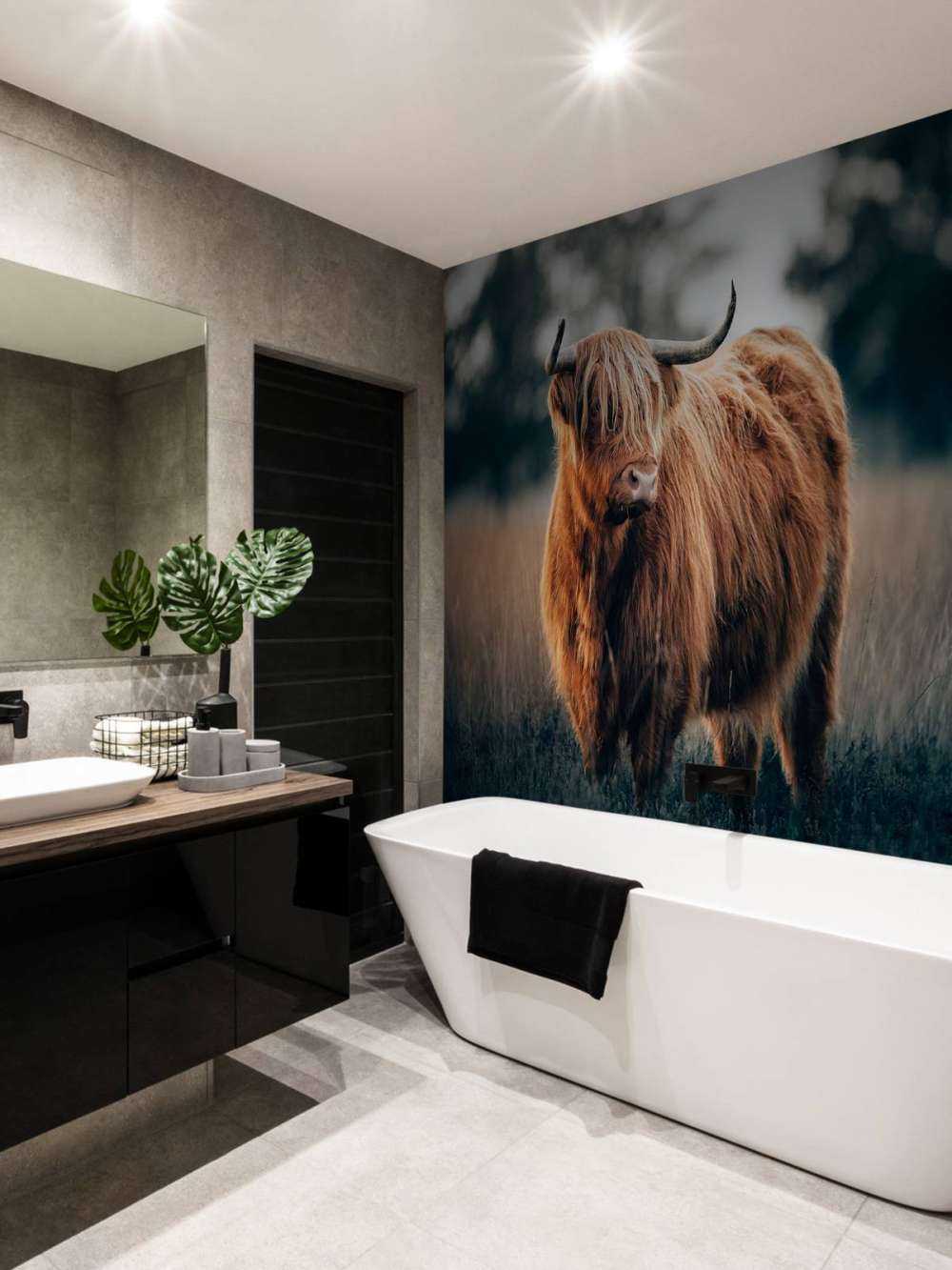 Ritratto di bovini delle Highland