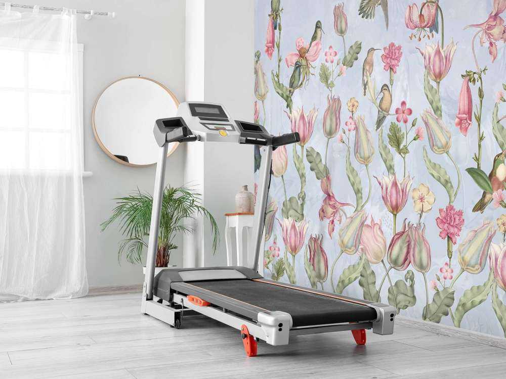 Sinfonia di Colibrì Primaverile - Serenata Blu Pastello