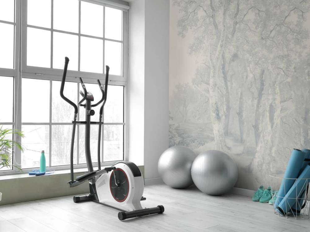 Panorama Blu di Paesaggio Forestale