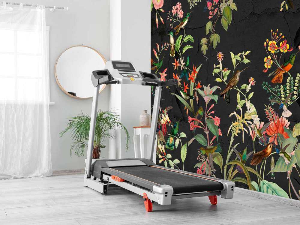 Giardino Esotico Nero