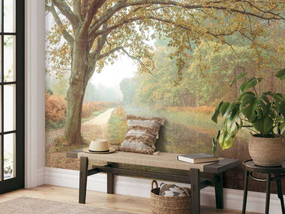 Lago nella foresta autunnale