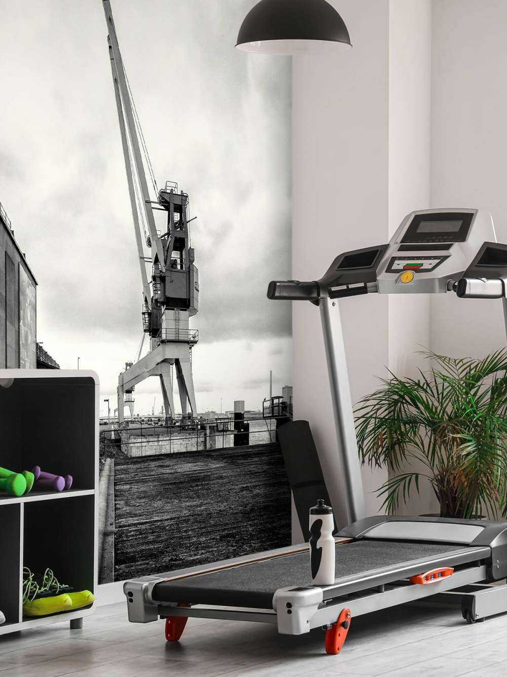 Gru portuale nell'ex sito RDM di Heijplaat Rotterdam 