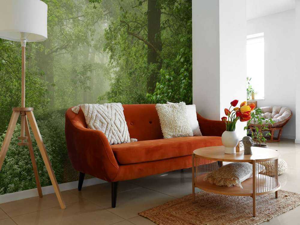 Foresta nebbiosa con sentiero