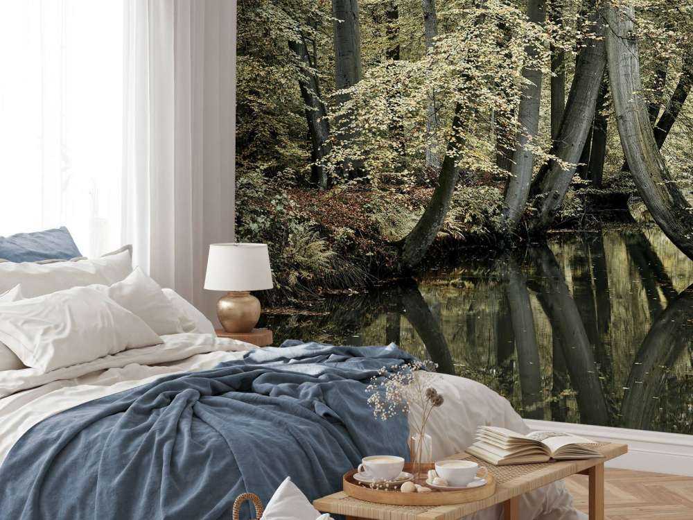 Ruscello con alberi sospesi