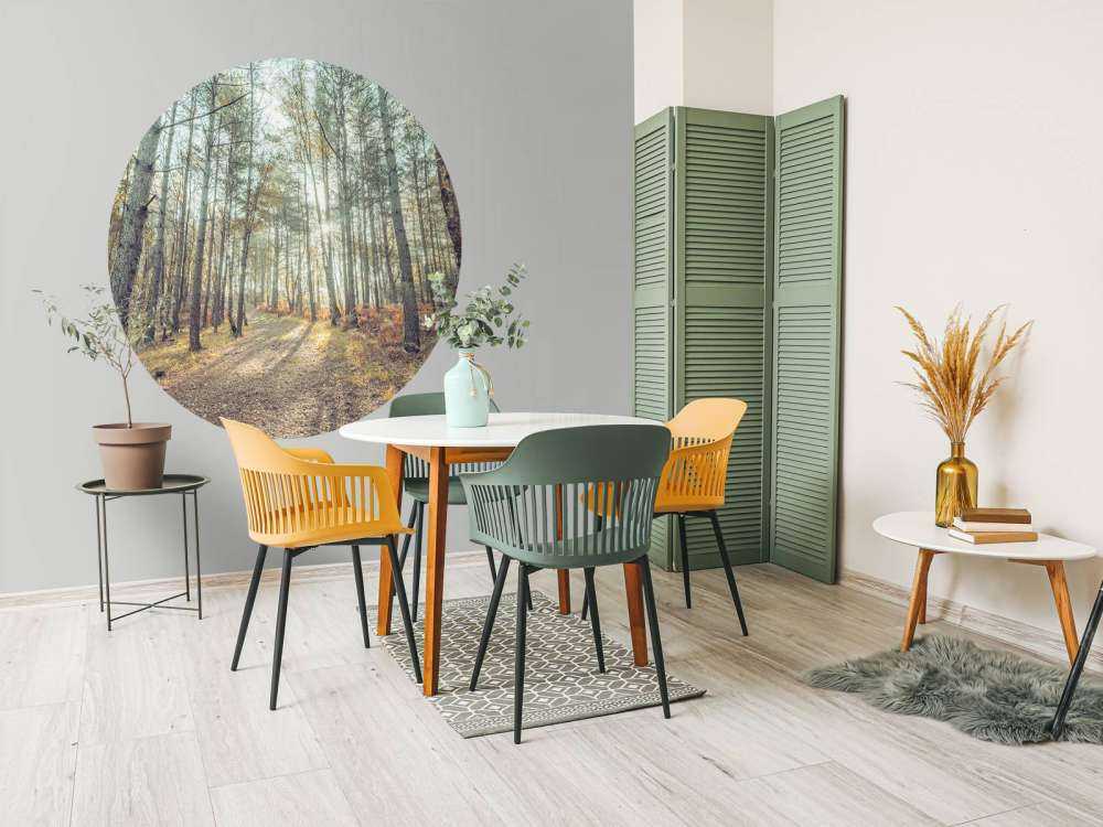 Sentiero attraverso il bosco soleggiato