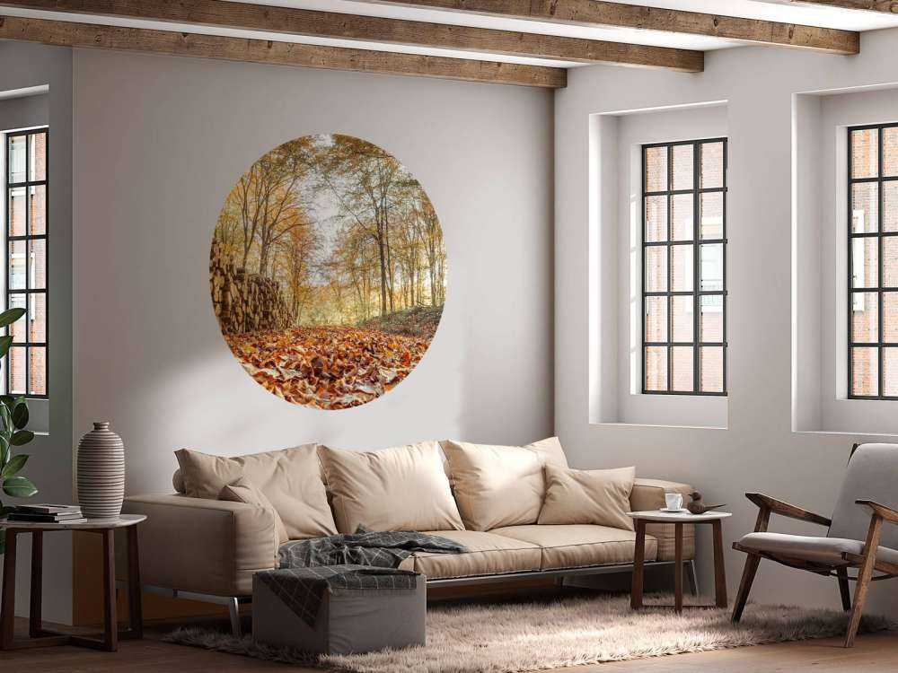 Tronchi d'albero in una foresta autunnale