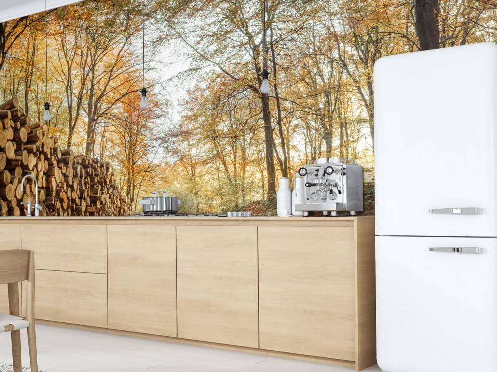 Tronchi d'albero in una foresta autunnale