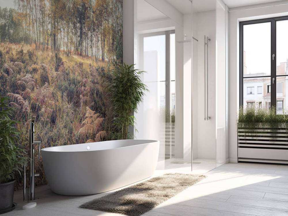 La foresta durante la mattina