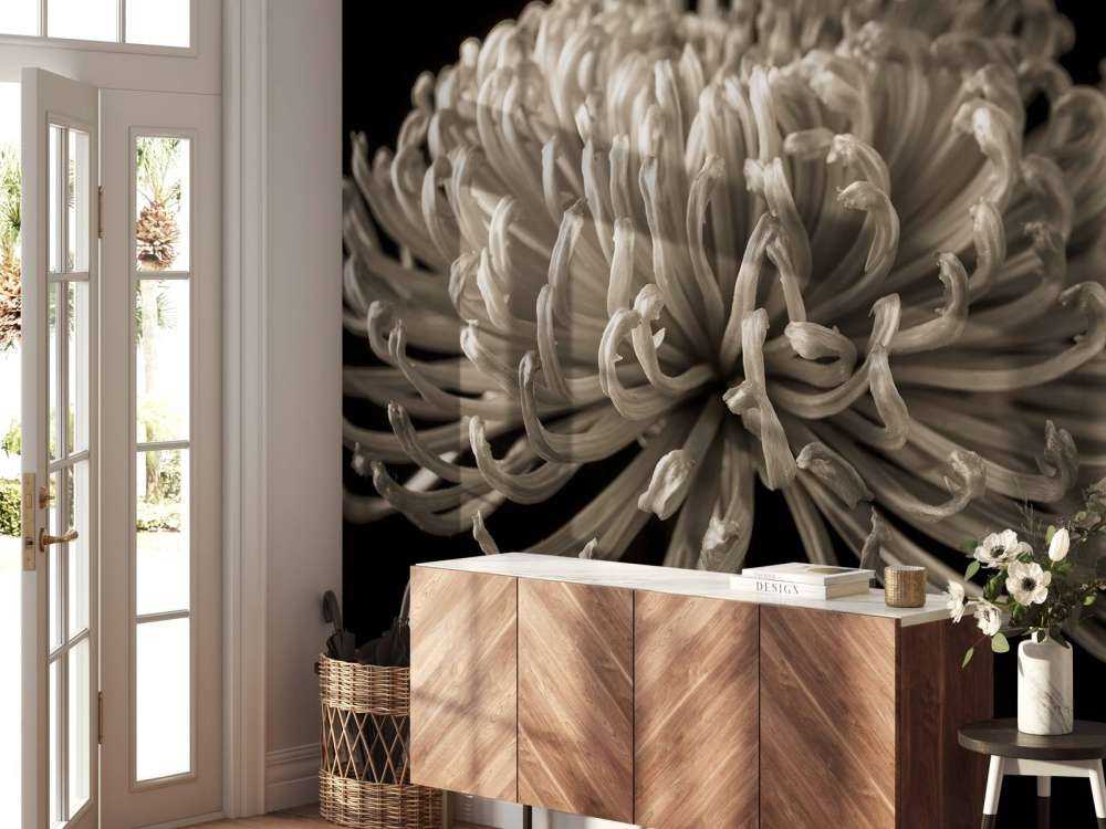 Grande fiore di cosmo