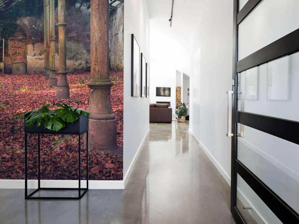 Casa abbandonata con foglie