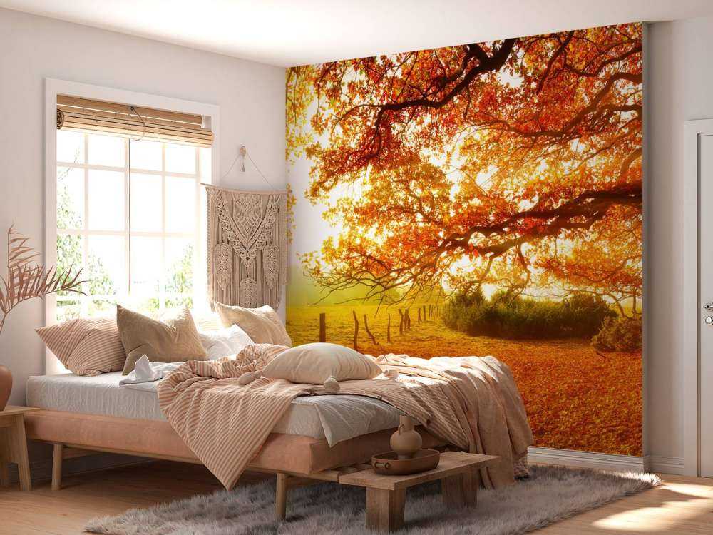 Paesaggio autunnale con bosco e prato