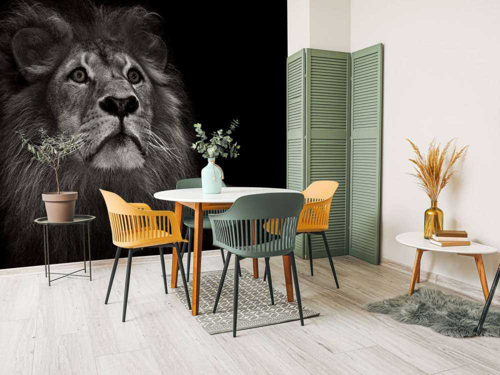 Leone su sfondo nero