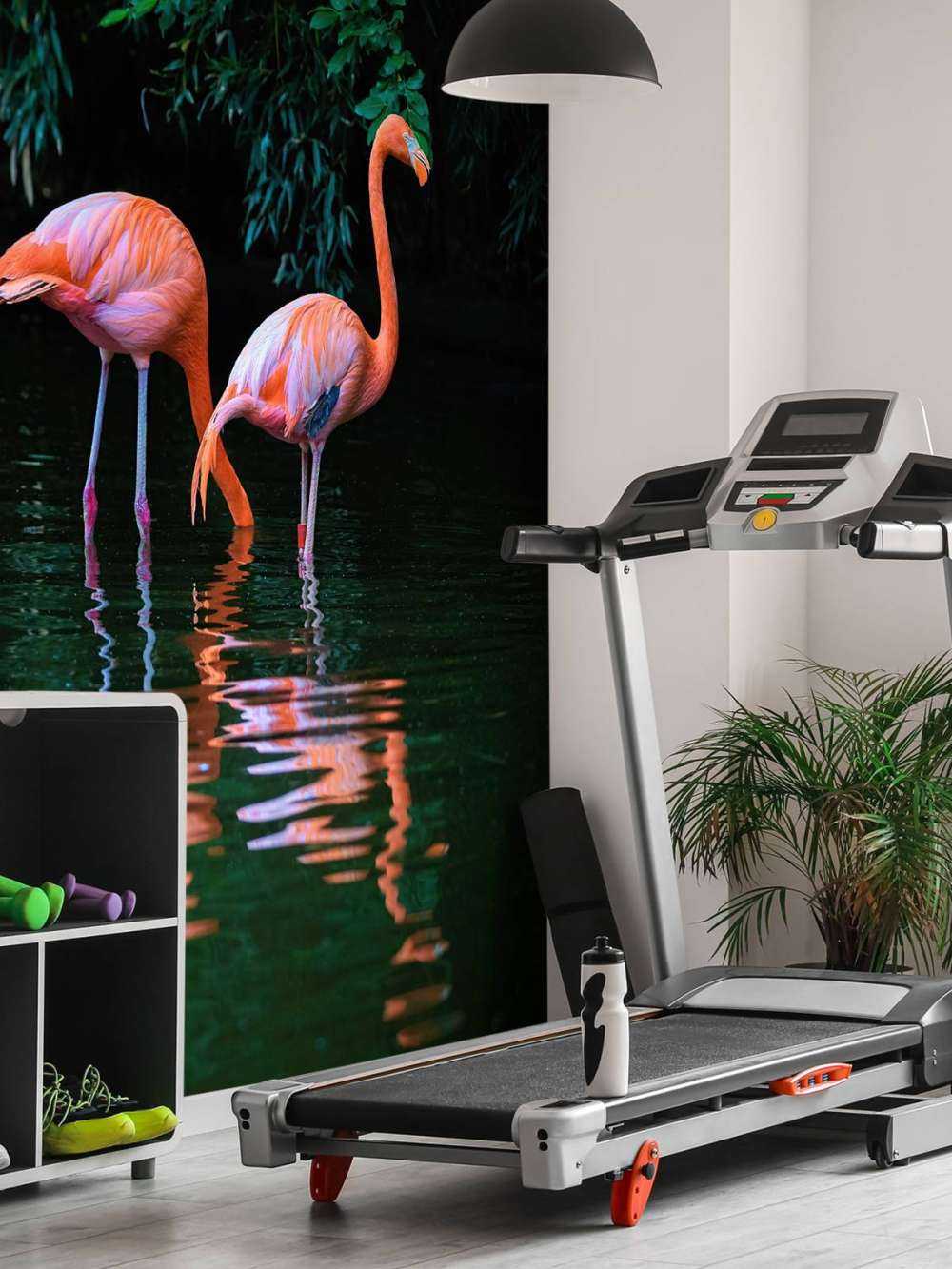 Due fenicotteri caraibici