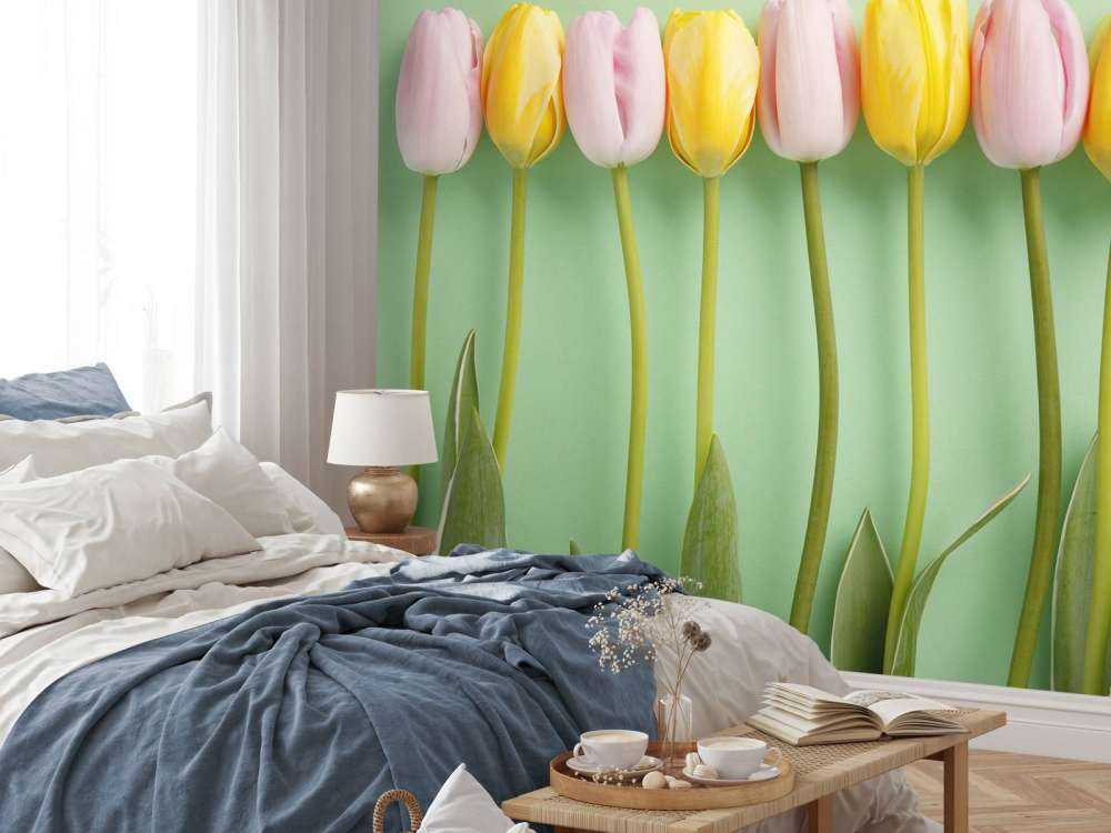 Tulipani su sfondo verde menta