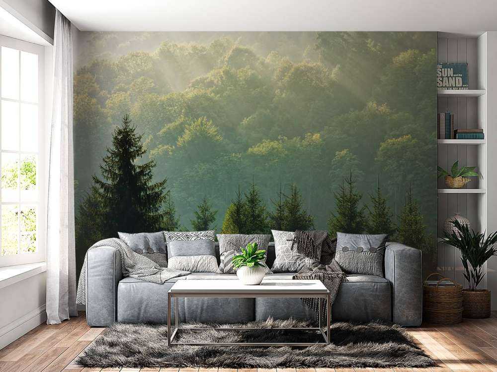 Raggi di sole sulla foresta