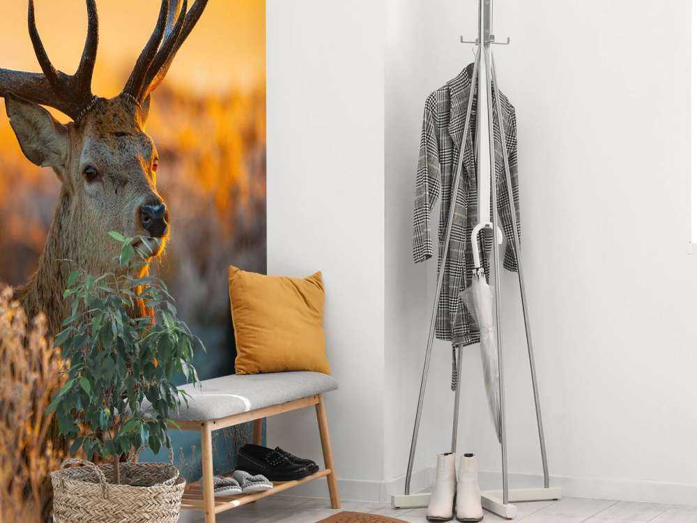 Cervi nella riserva naturale