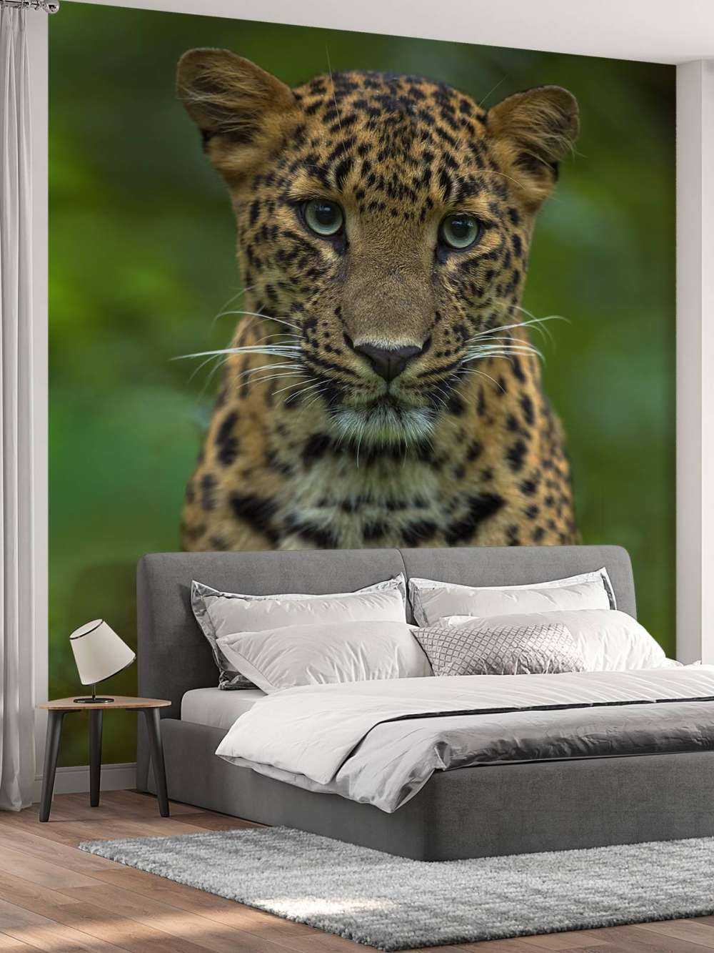 Focalizzato leopardo