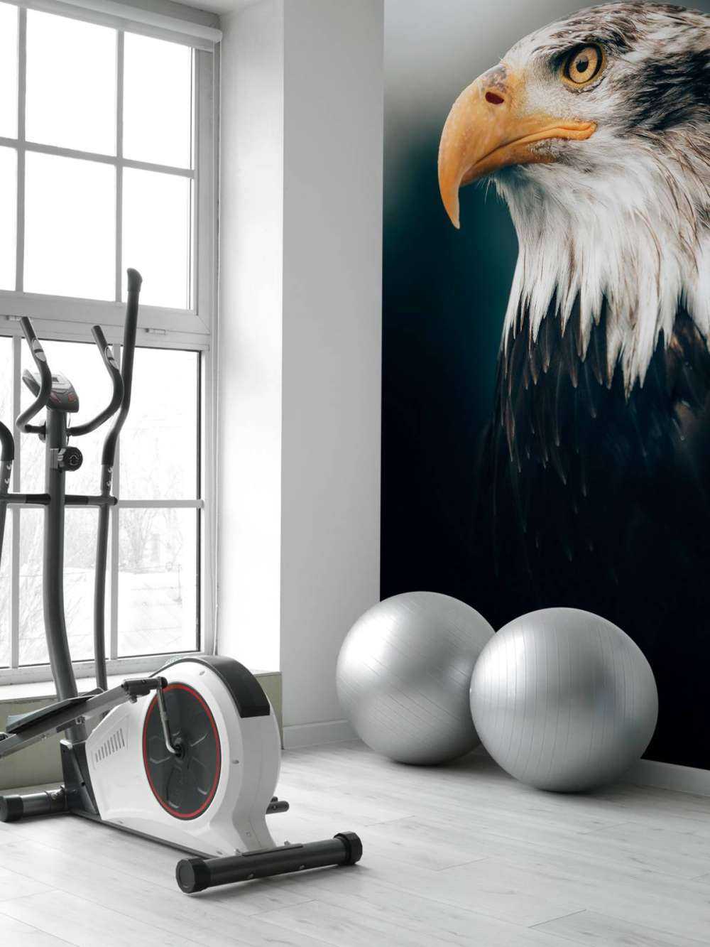 Aquila di mare primo piano