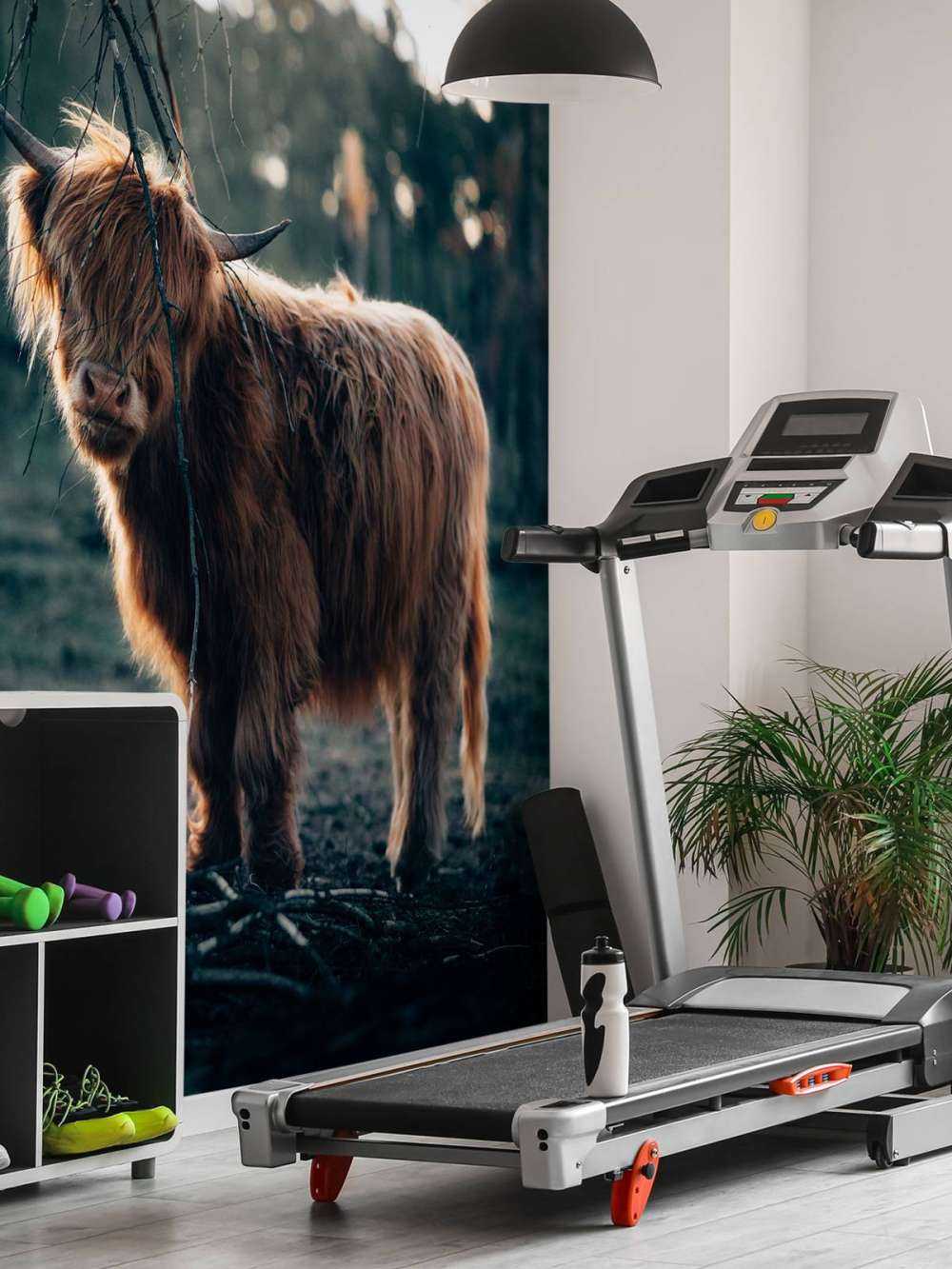 Highlander scozzese ai margini del bosco