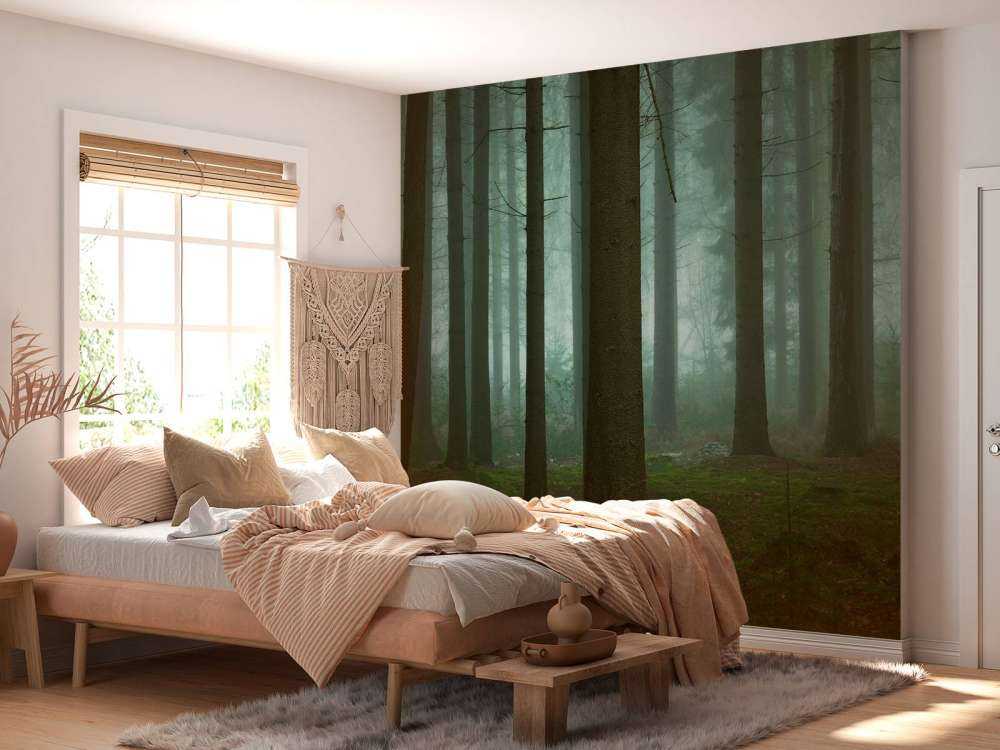 The Cold, Dark Days of Winter