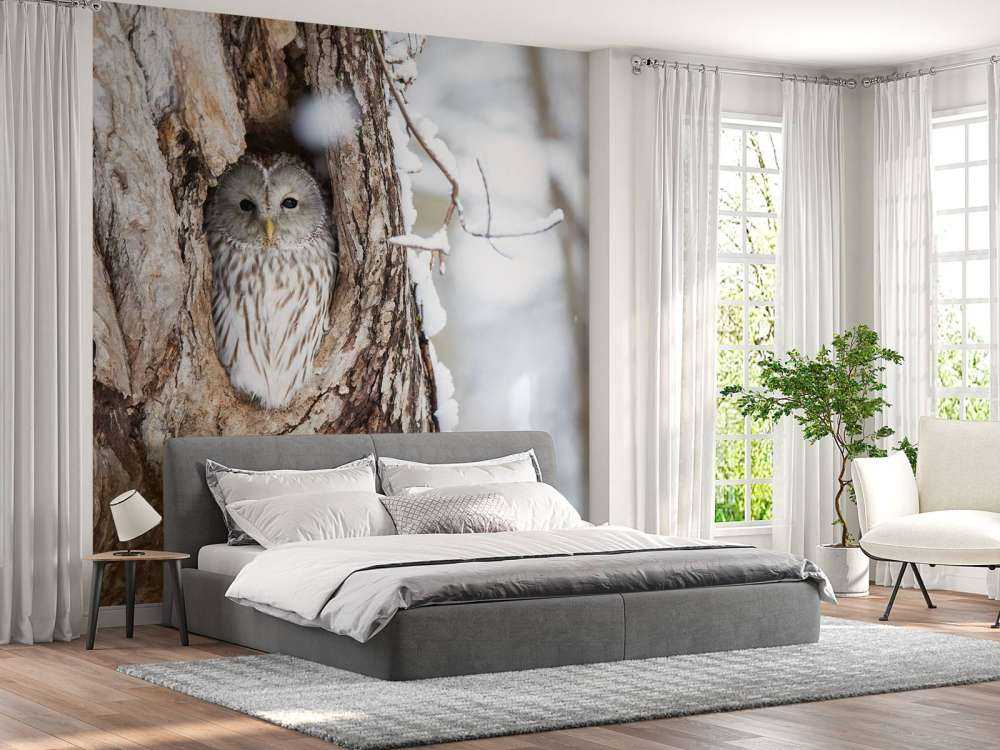 Gufo bianco in un albero cavo