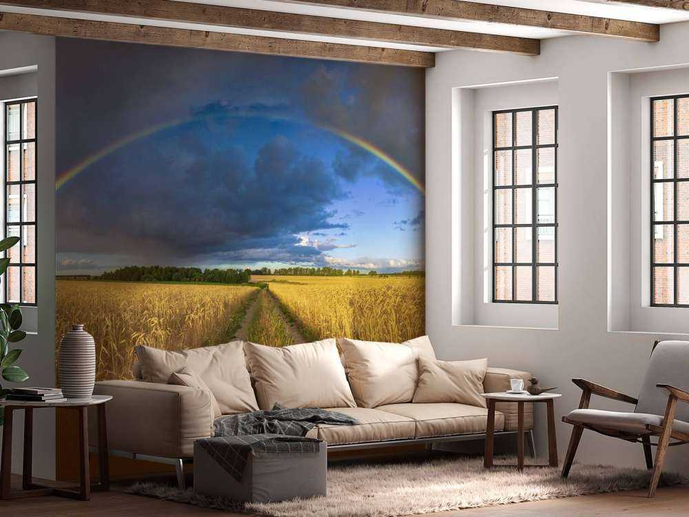 Arcobaleno su un campo di grano