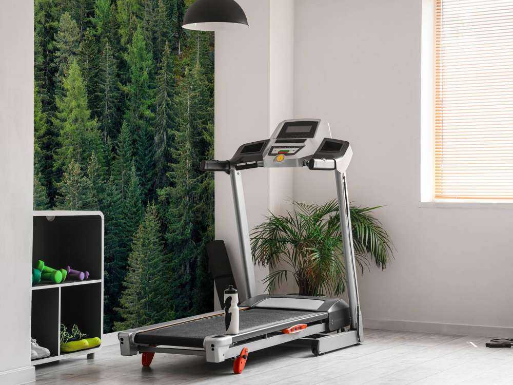 Foresta di abete verde