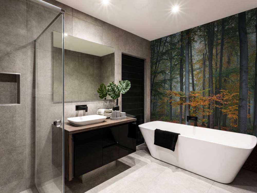 Colori autunnali nella foresta nebbiosa