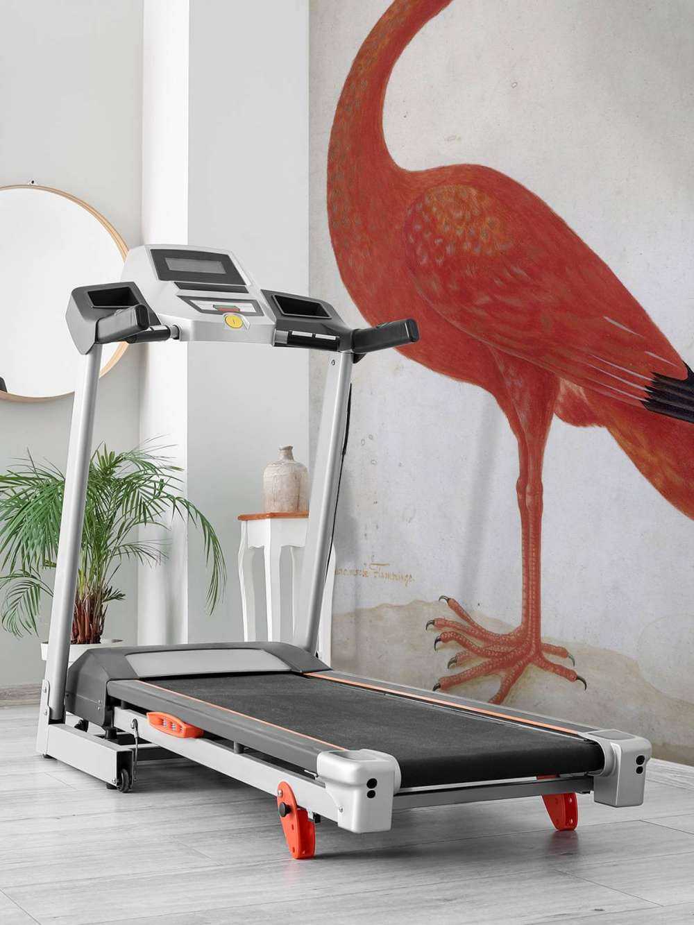 Ibis rosso con uovo