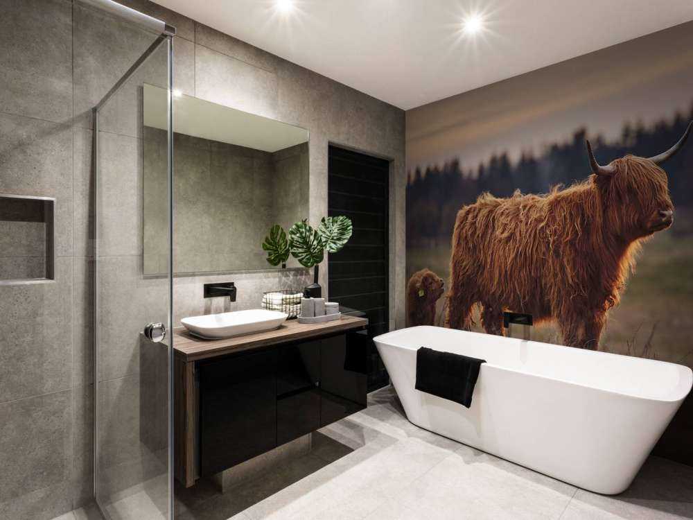 Highlanders scozzesi nel prato