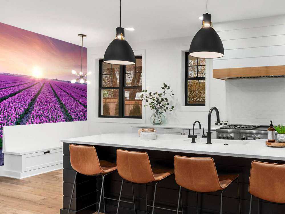 Campo di tulipani all'alba