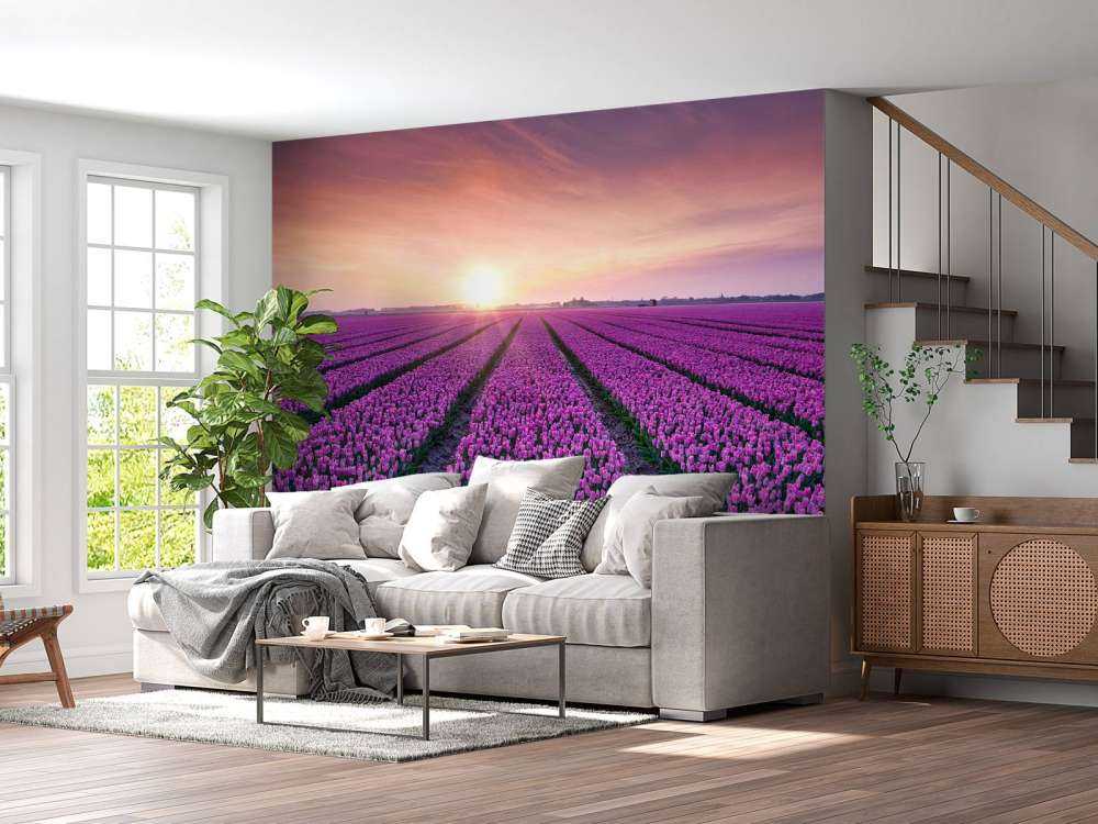 Campo di tulipani all'alba