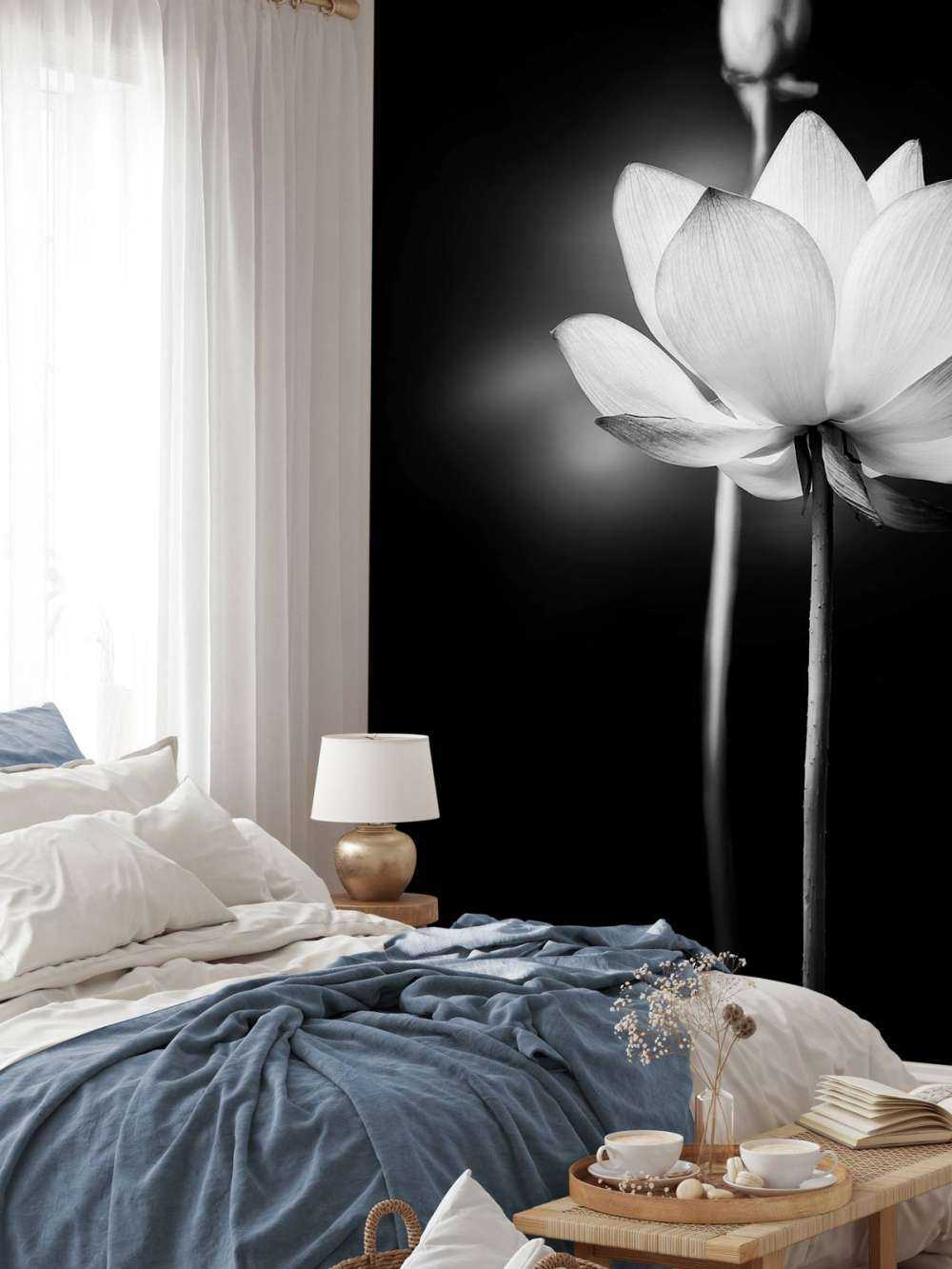 Fiori di loto bianco e nero