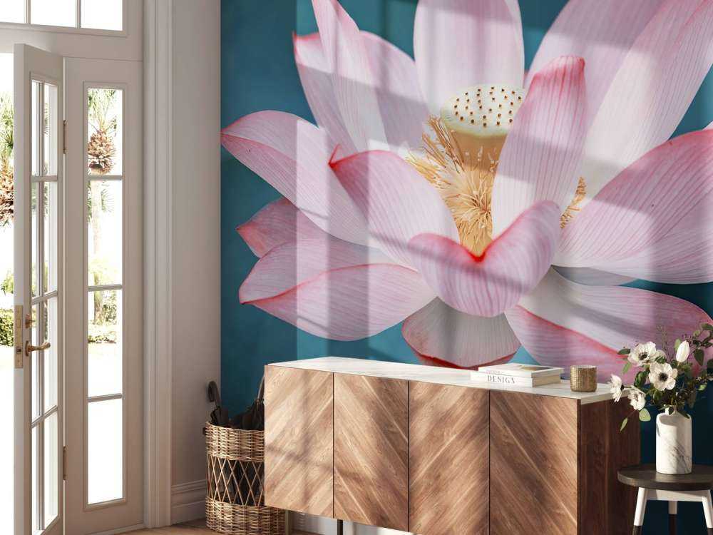 Fiore di loto da vicino