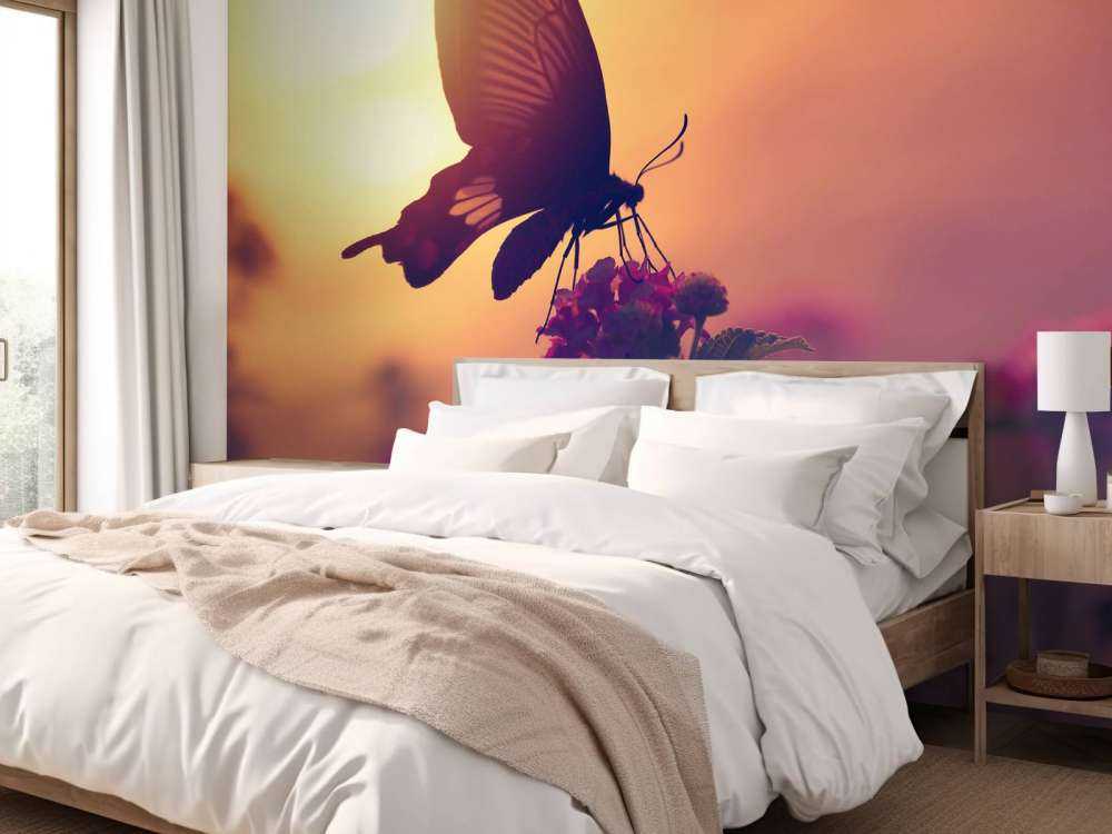 Farfalla con il tramonto