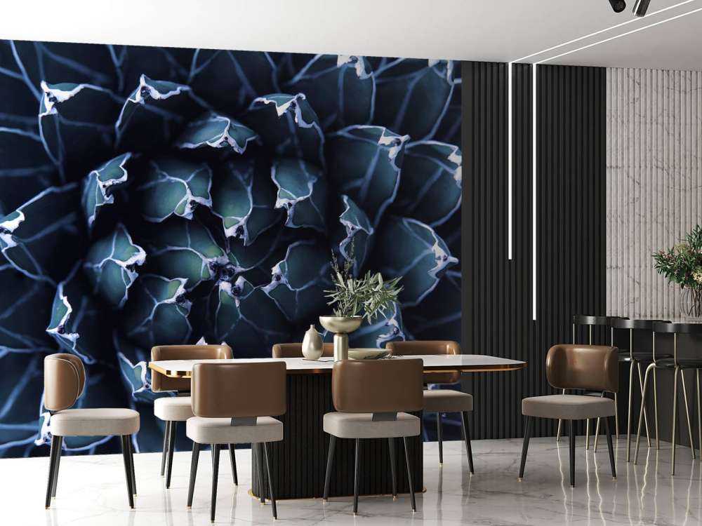 Succulenta blu scuro