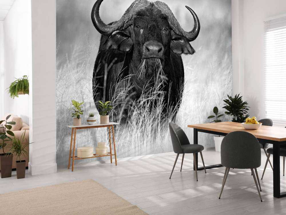 Bufalo in bianco e nero