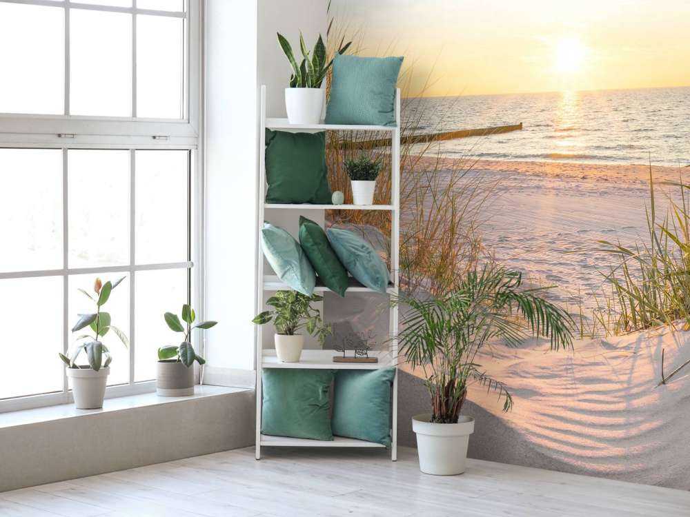 Spiaggia di dune con tramonto