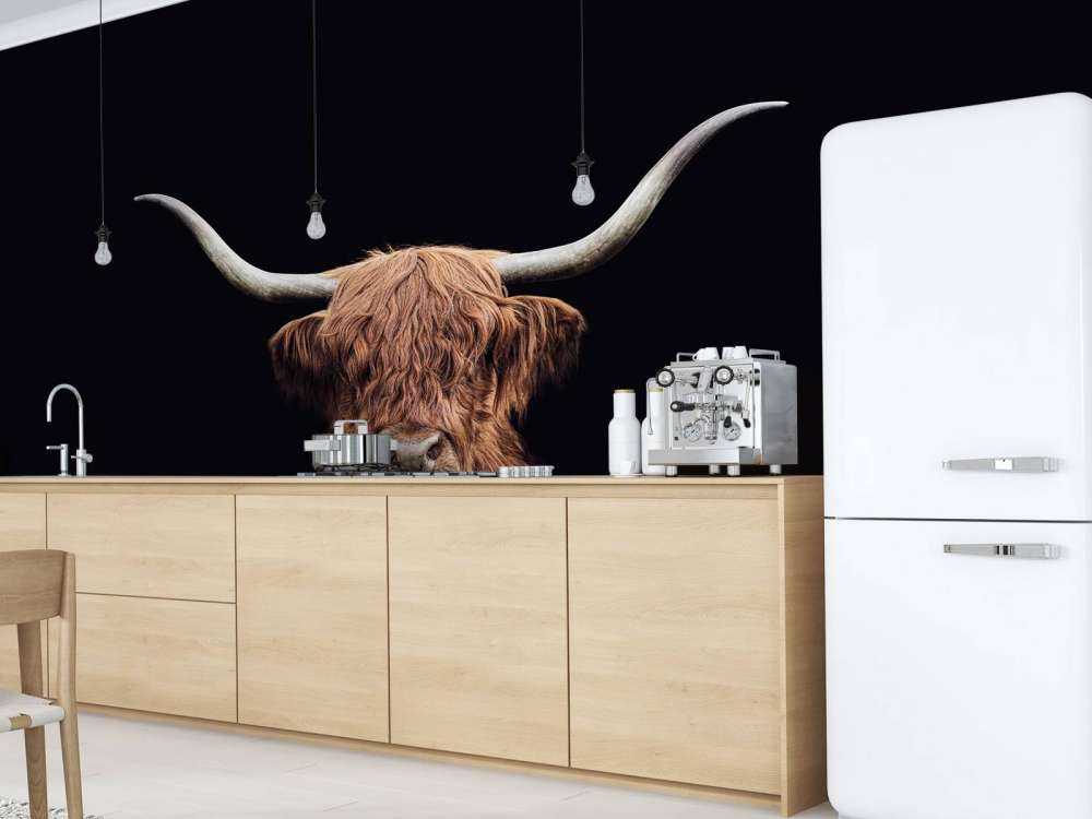 Highlander scozzese d'epoca