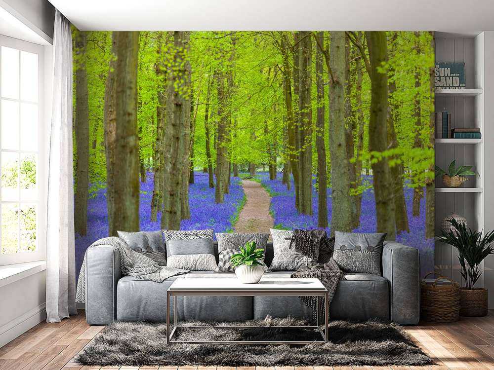 Sentiero delle campanule