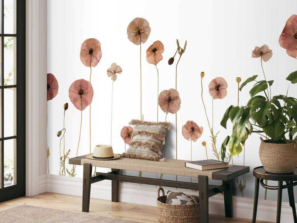 Campo di fiori di papavero colorato