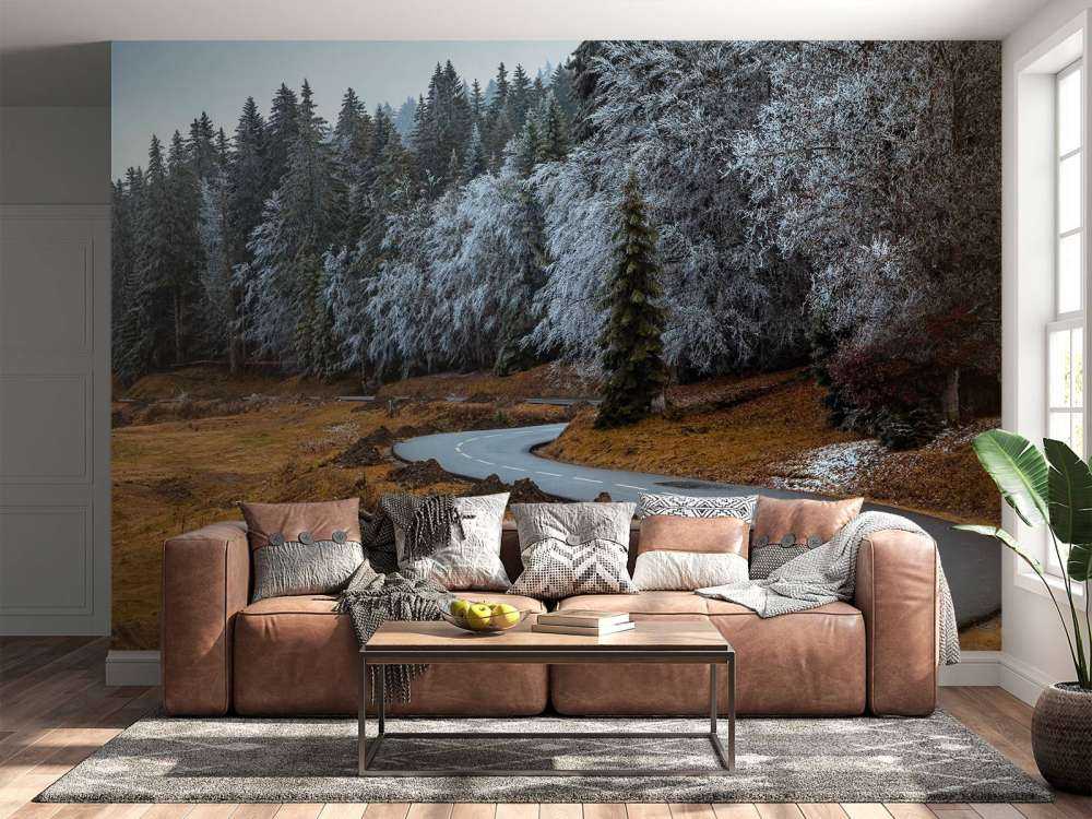 The road and the frozen trees